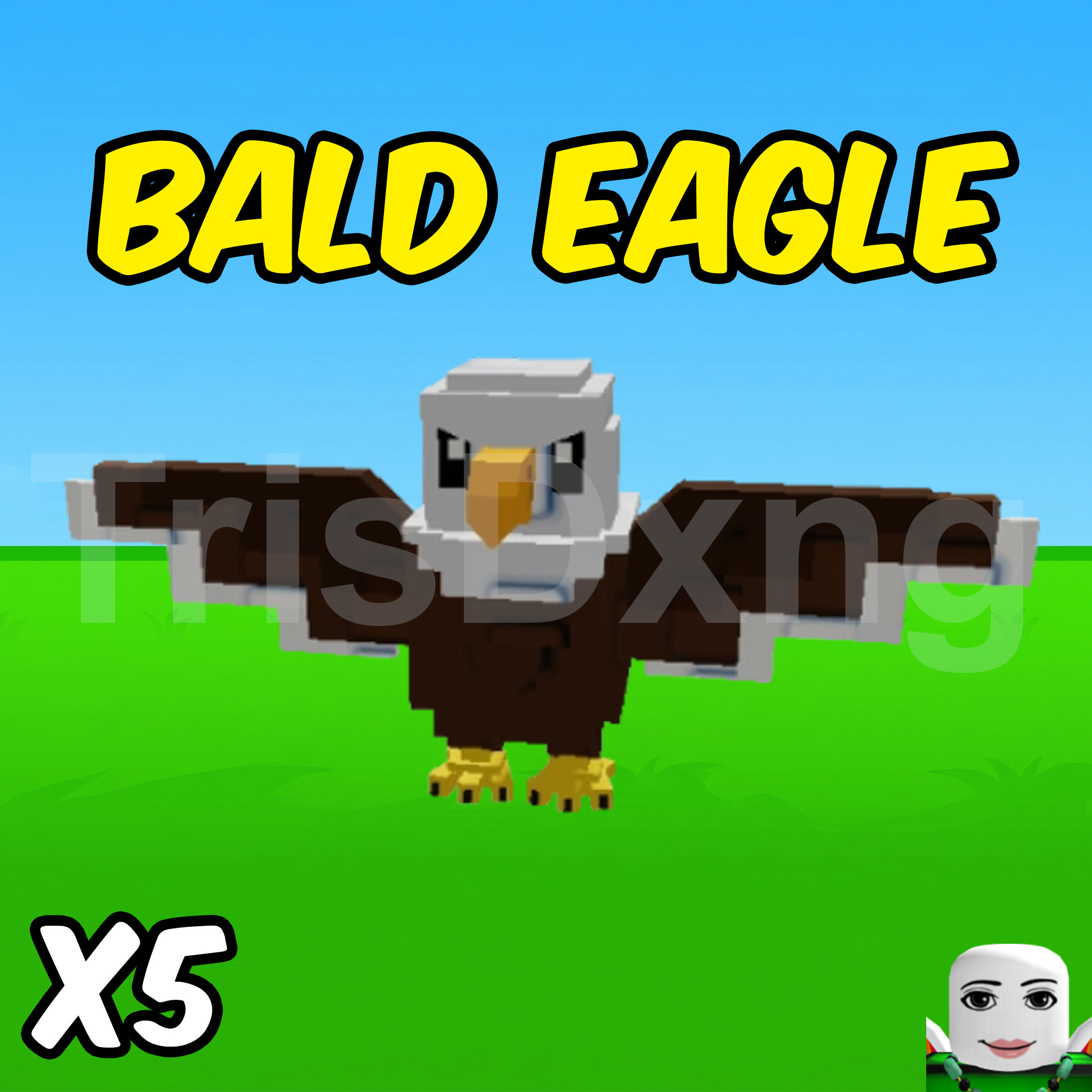 ACC 100% CÓ X5 PET BALD EAGLE