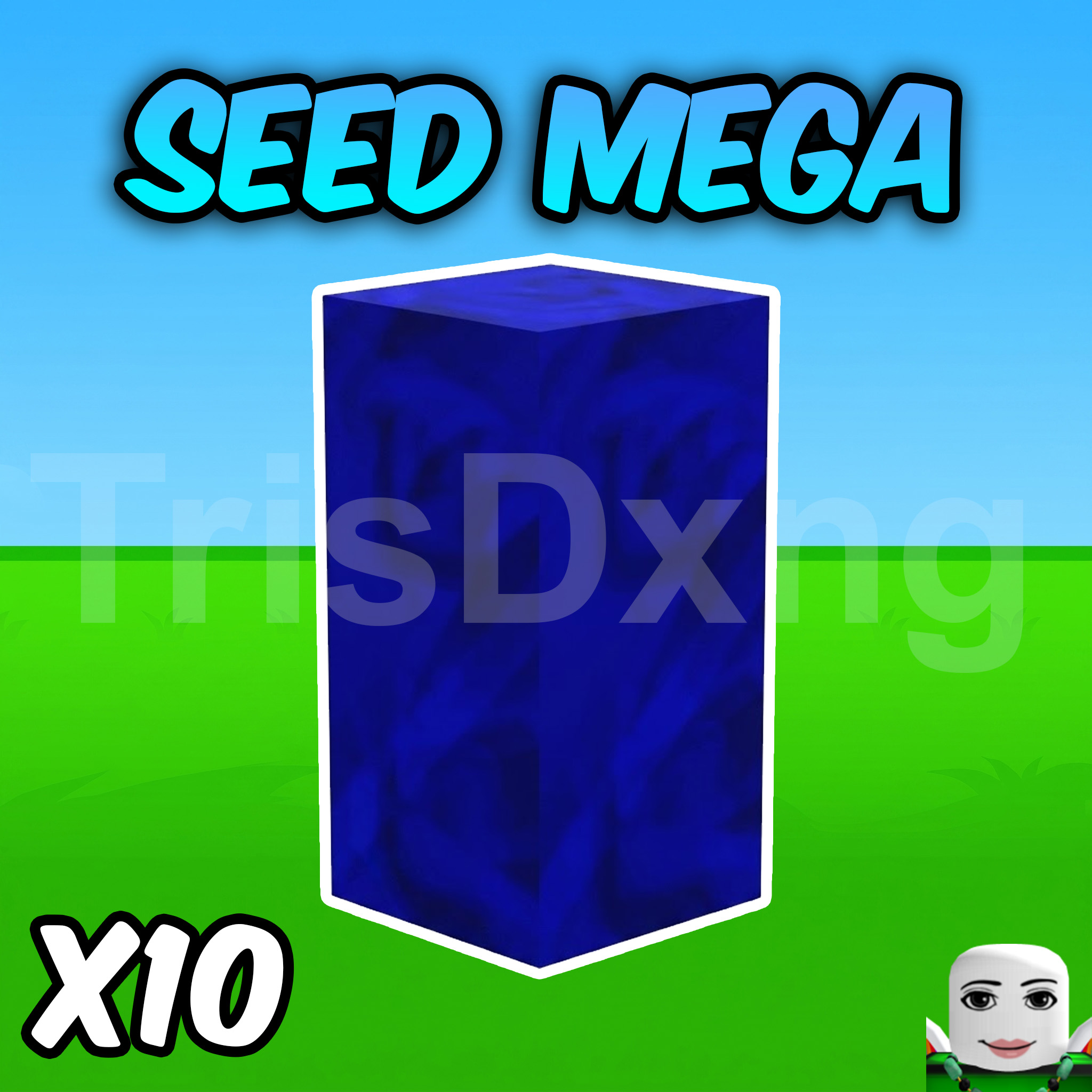 ACC 100% CÓ 10 HẠT MEGA